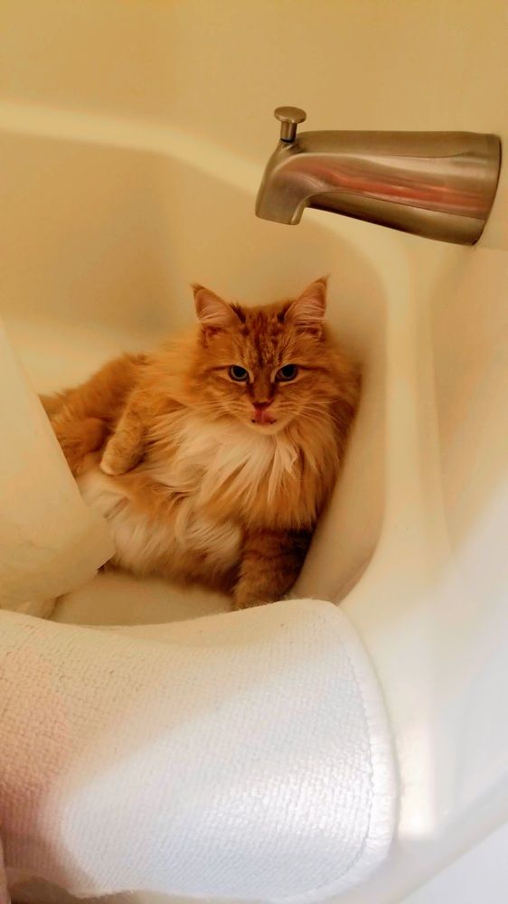 Photograph by Dennise Treijs