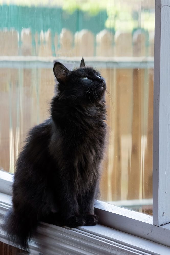 Photograph by Nadezhda