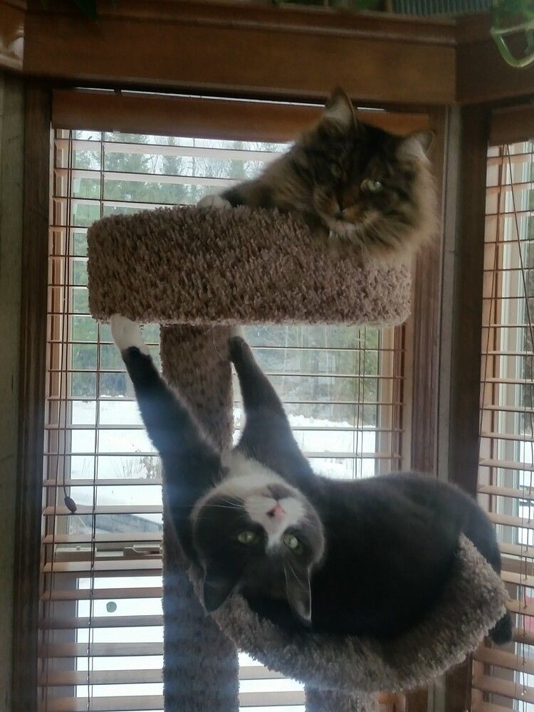 Photograph by Dennise Treijs