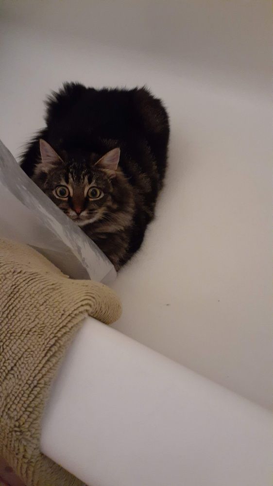 Photograph by Dennise Treijs