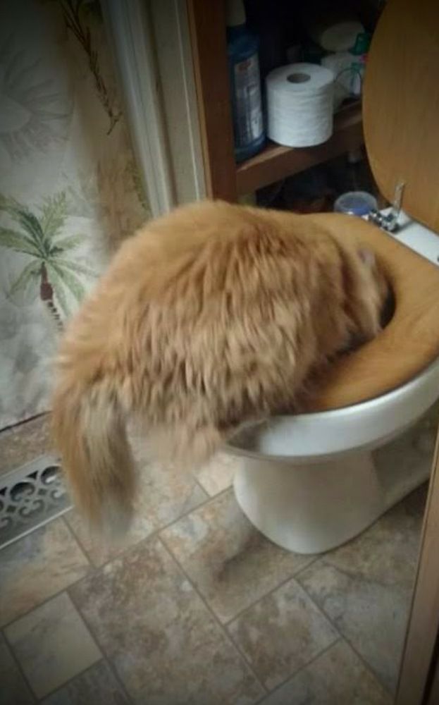 Photograph by Dennise Treijs