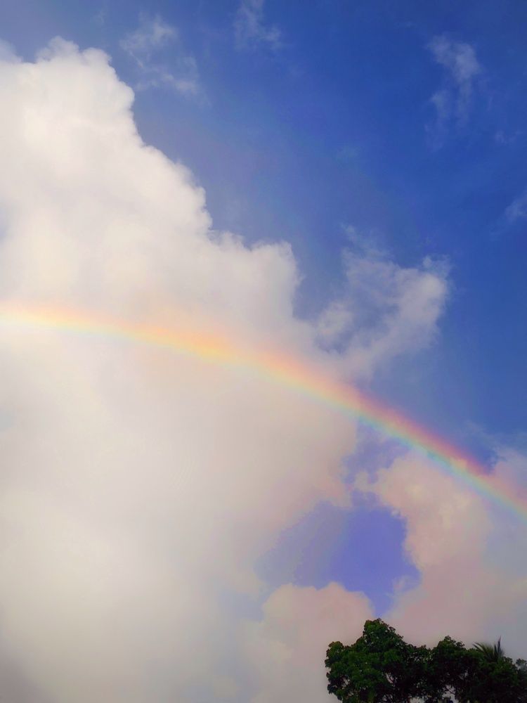 Photograph by Ameesh Tharumuthu Kumarasinghe Weda Arachchige