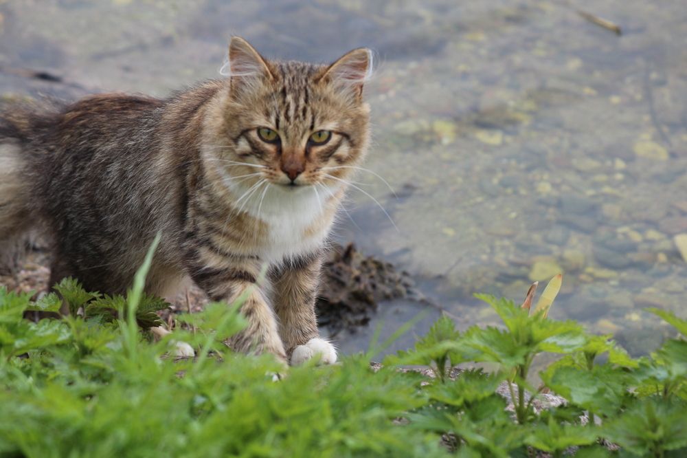 Photograph by Елена Терскова