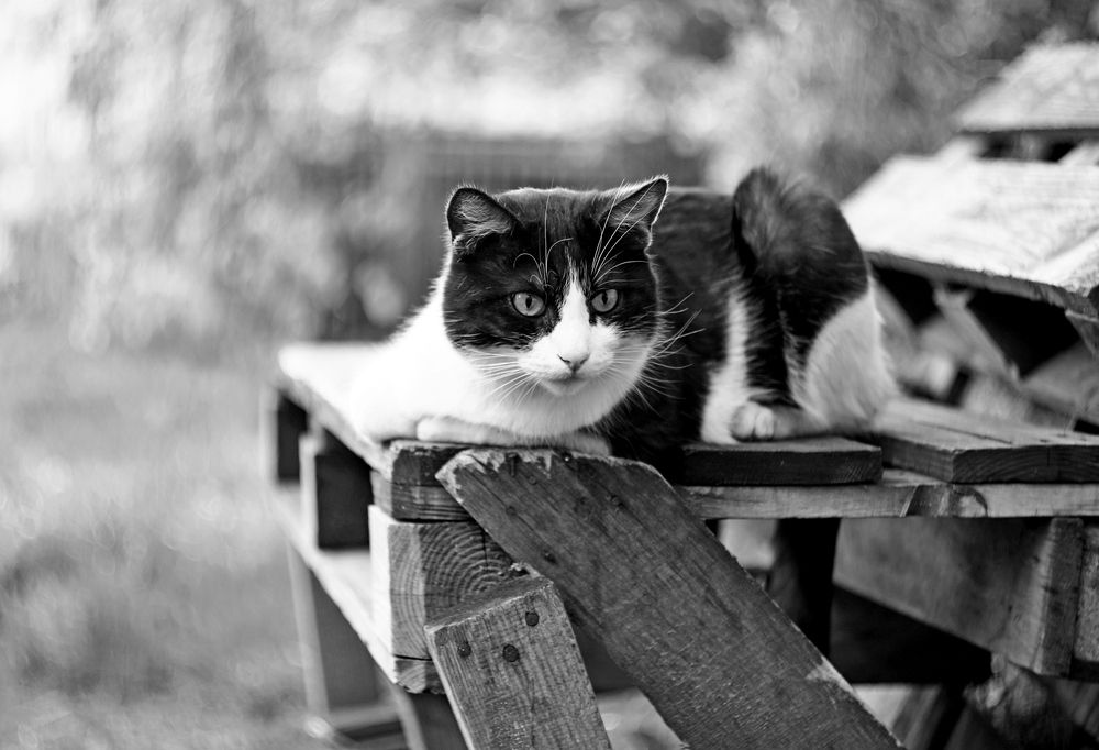 Photograph by Леонид Уральский