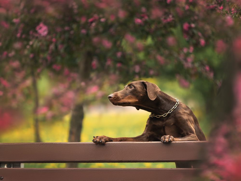 Photograph by Мария Клещенко