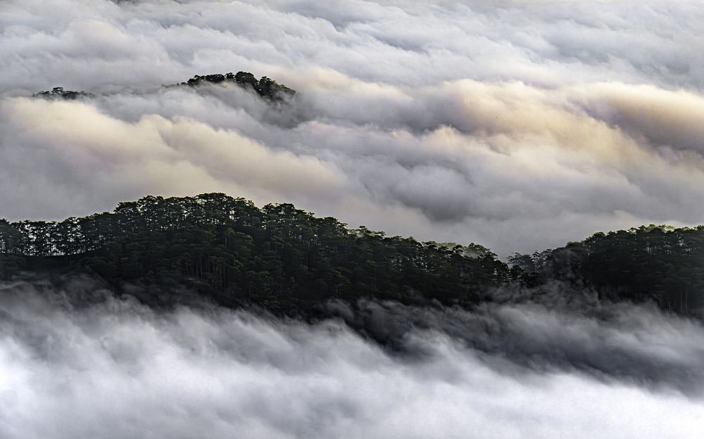 Фотография автора Do Trung