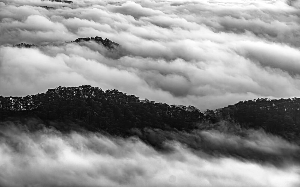 Фотография автора Do Trung