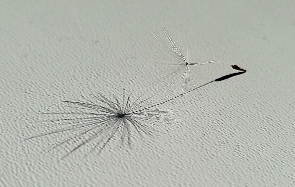 Photograph by Вера Смыслова