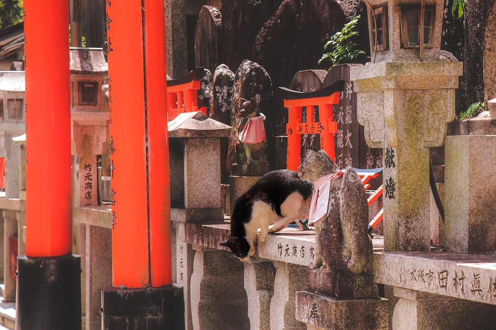 Photograph by Валерия Лунина