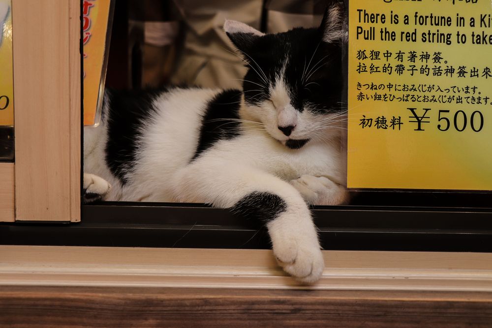 Photograph by Валерия Лунина