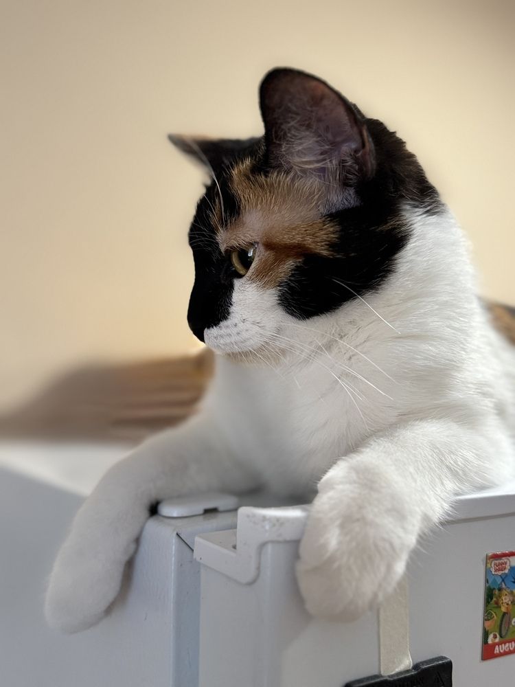 Photograph by Yuliana Zhyriakova