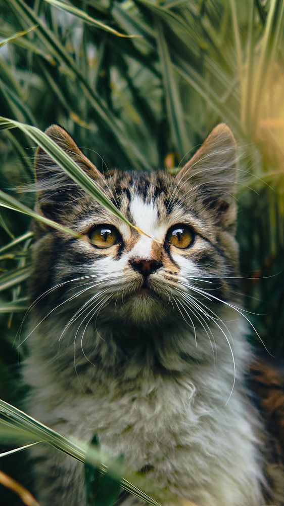 Photograph by Алексей Иванов