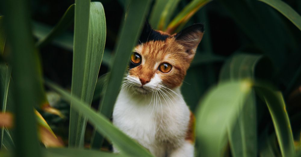 Photograph by Алексей Иванов