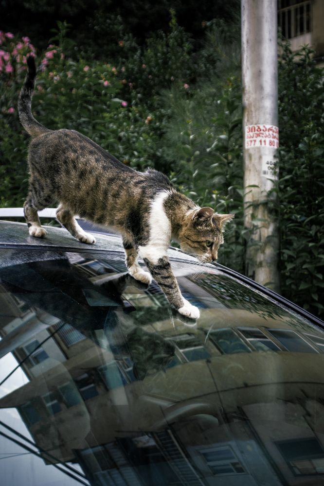 Photograph by Альфия Агзами