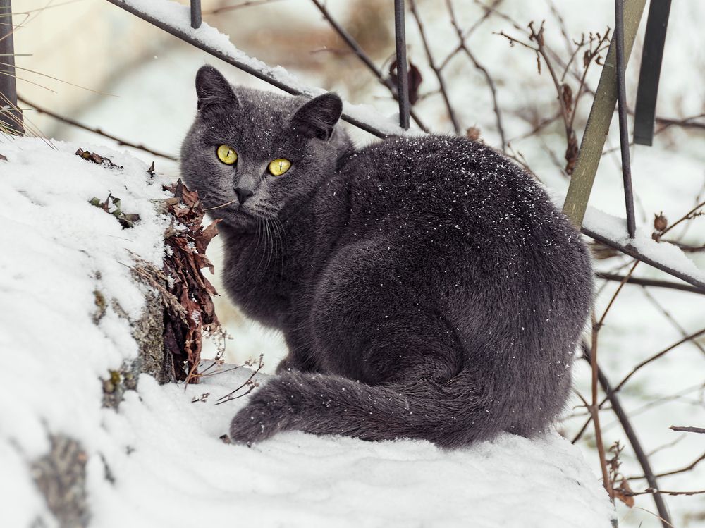 Photograph by Владимир