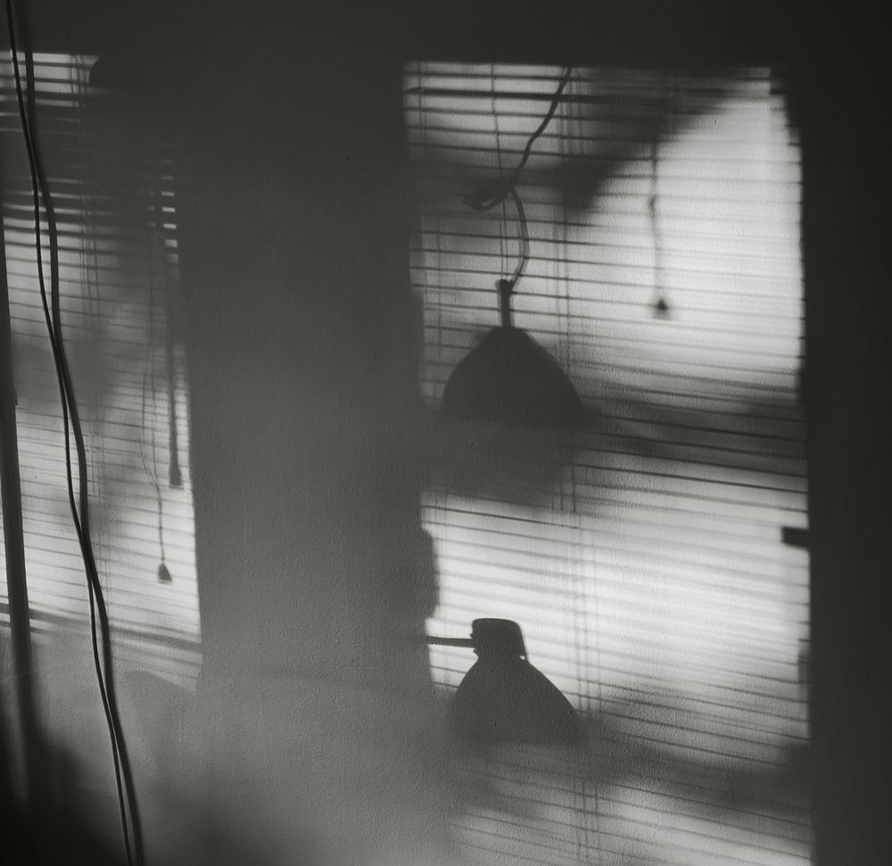 Photo #12234369