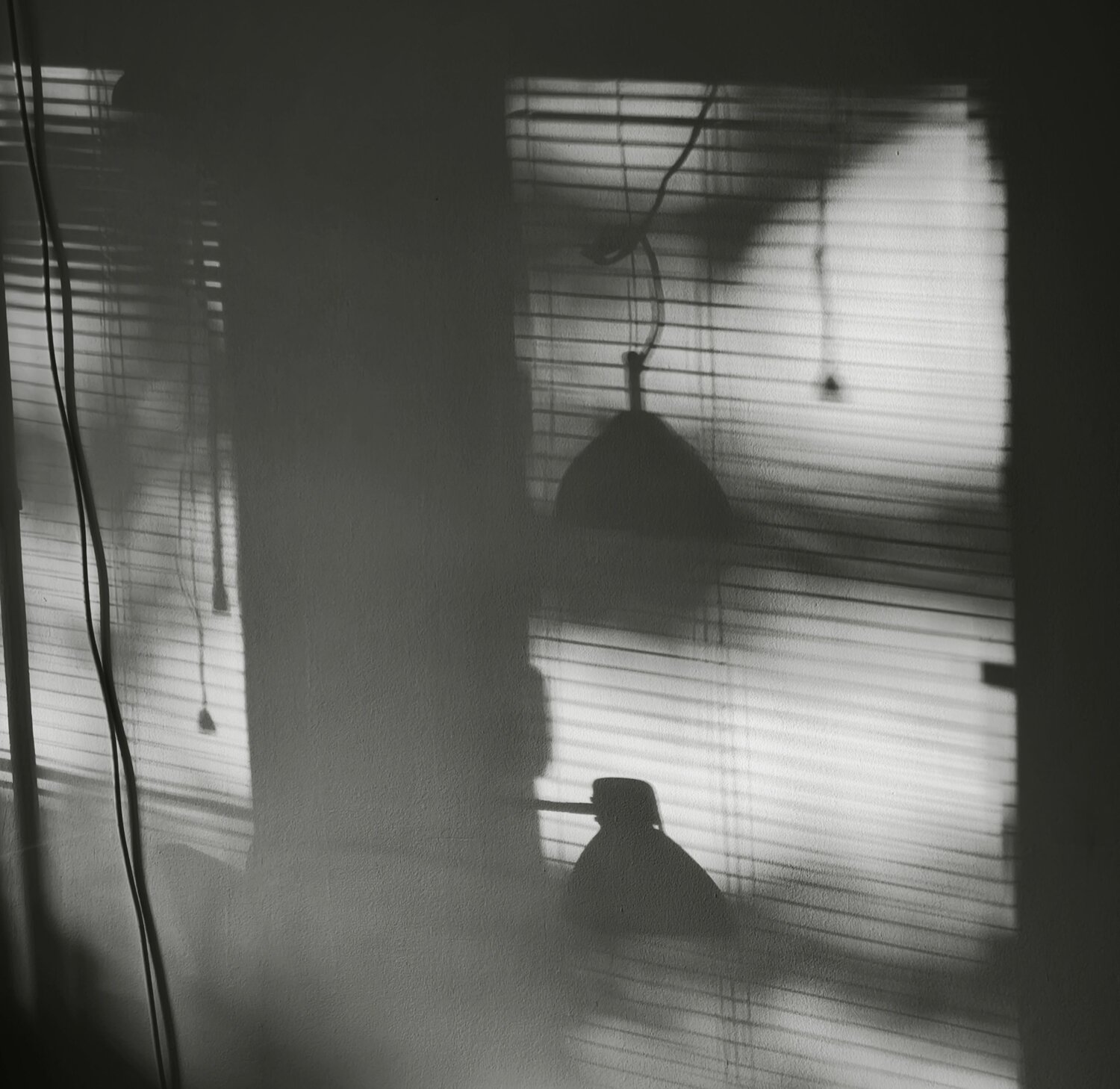Photo #12234369