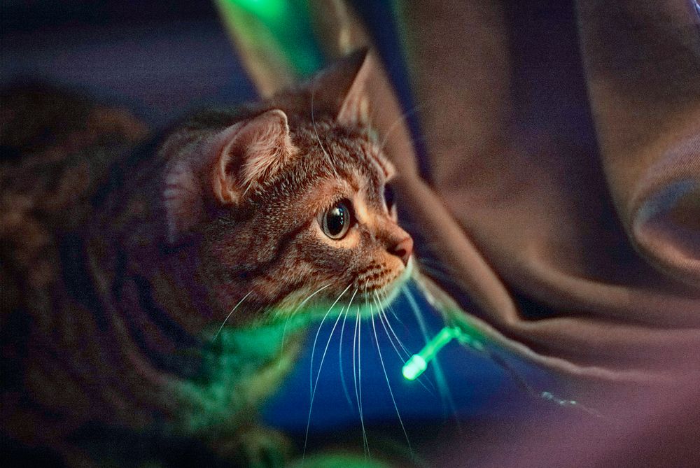 Photograph by Игорь Хижняк