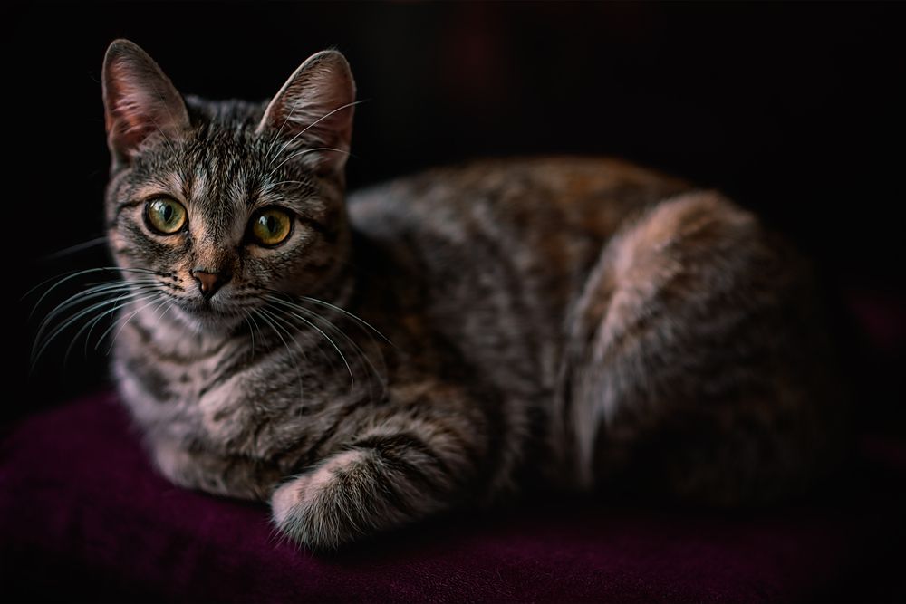 Photograph by Игорь Хижняк