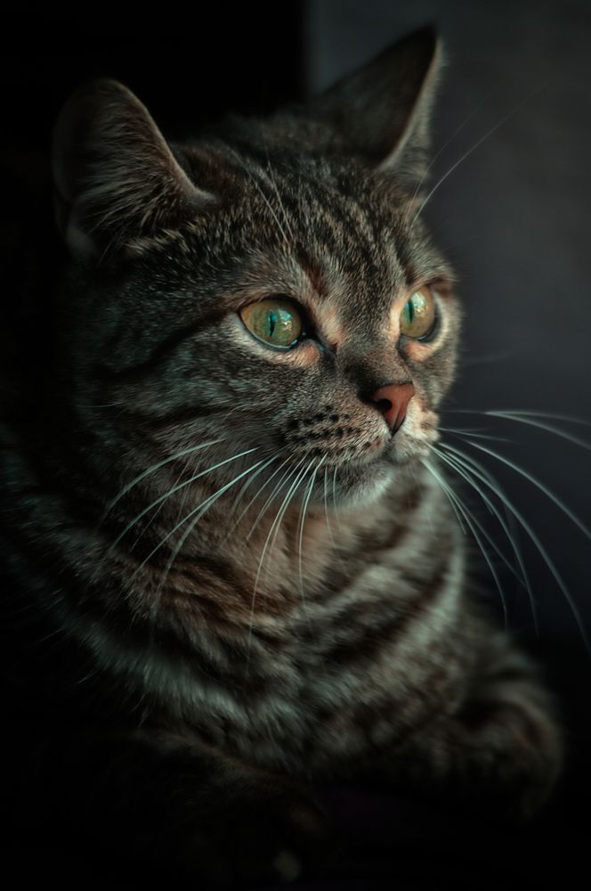 Photograph by Игорь Хижняк