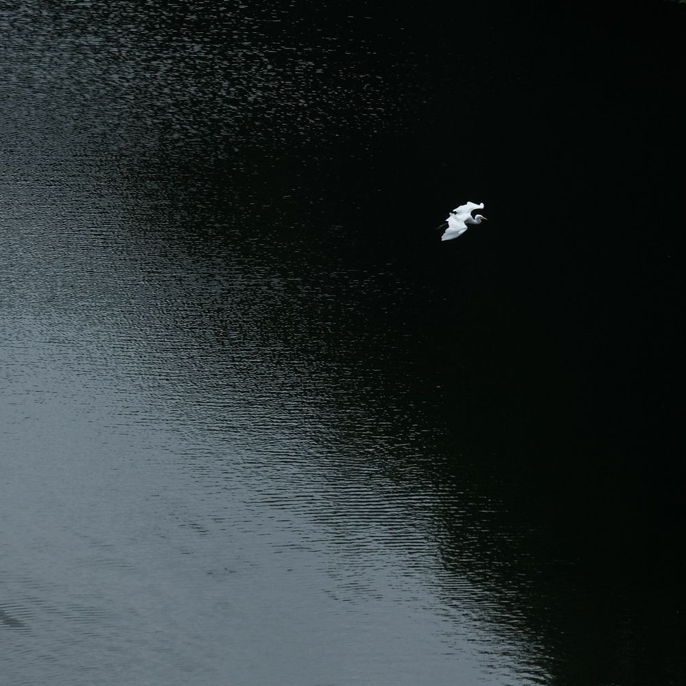 Flying through the darkness