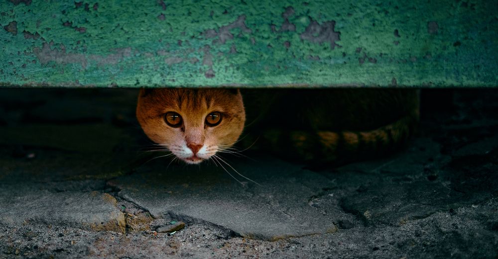 Photograph by Алексей Иванов