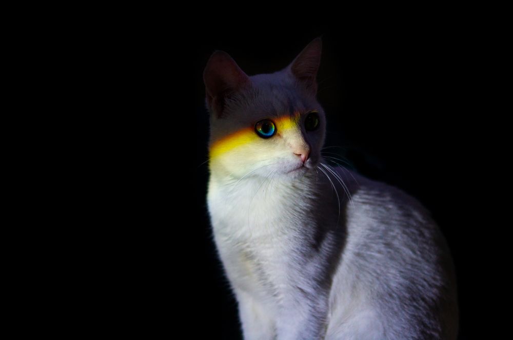 Photograph by Алексей Иванов