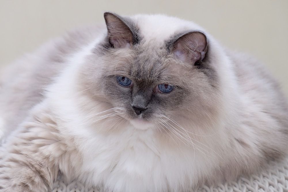 Photograph by Marina Poushkina