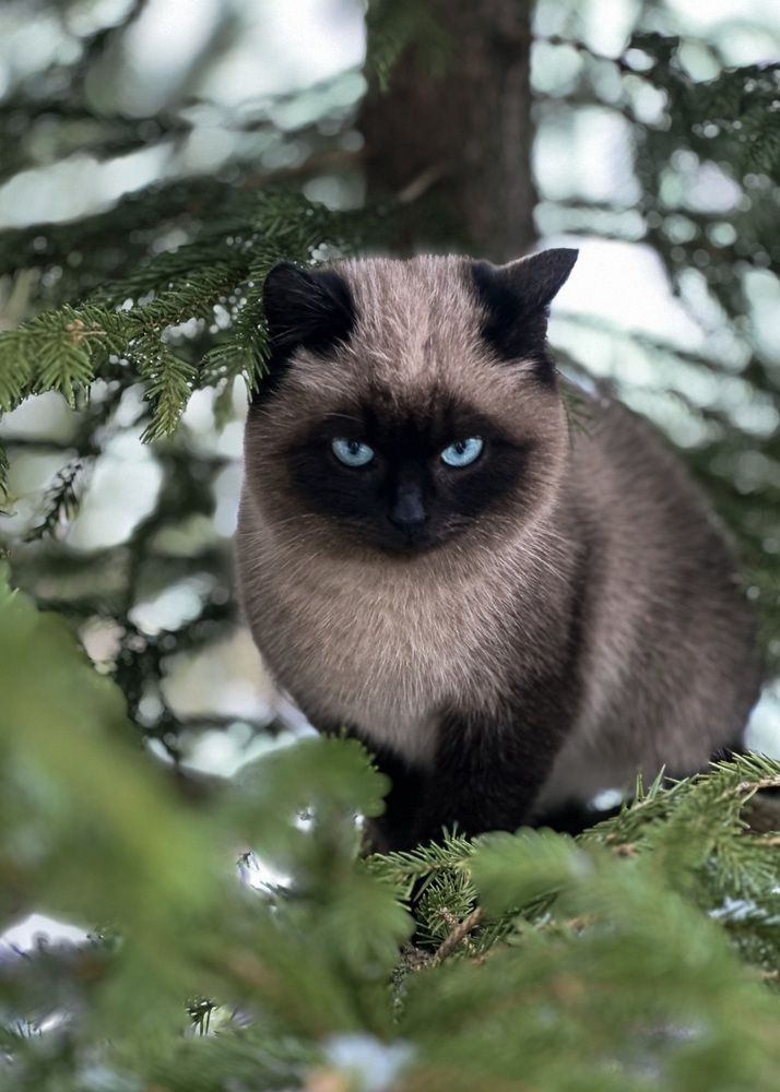 Photograph by Марина