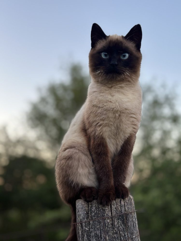 Photograph by Марина