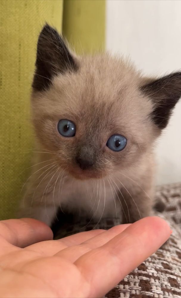 Photograph by Марина