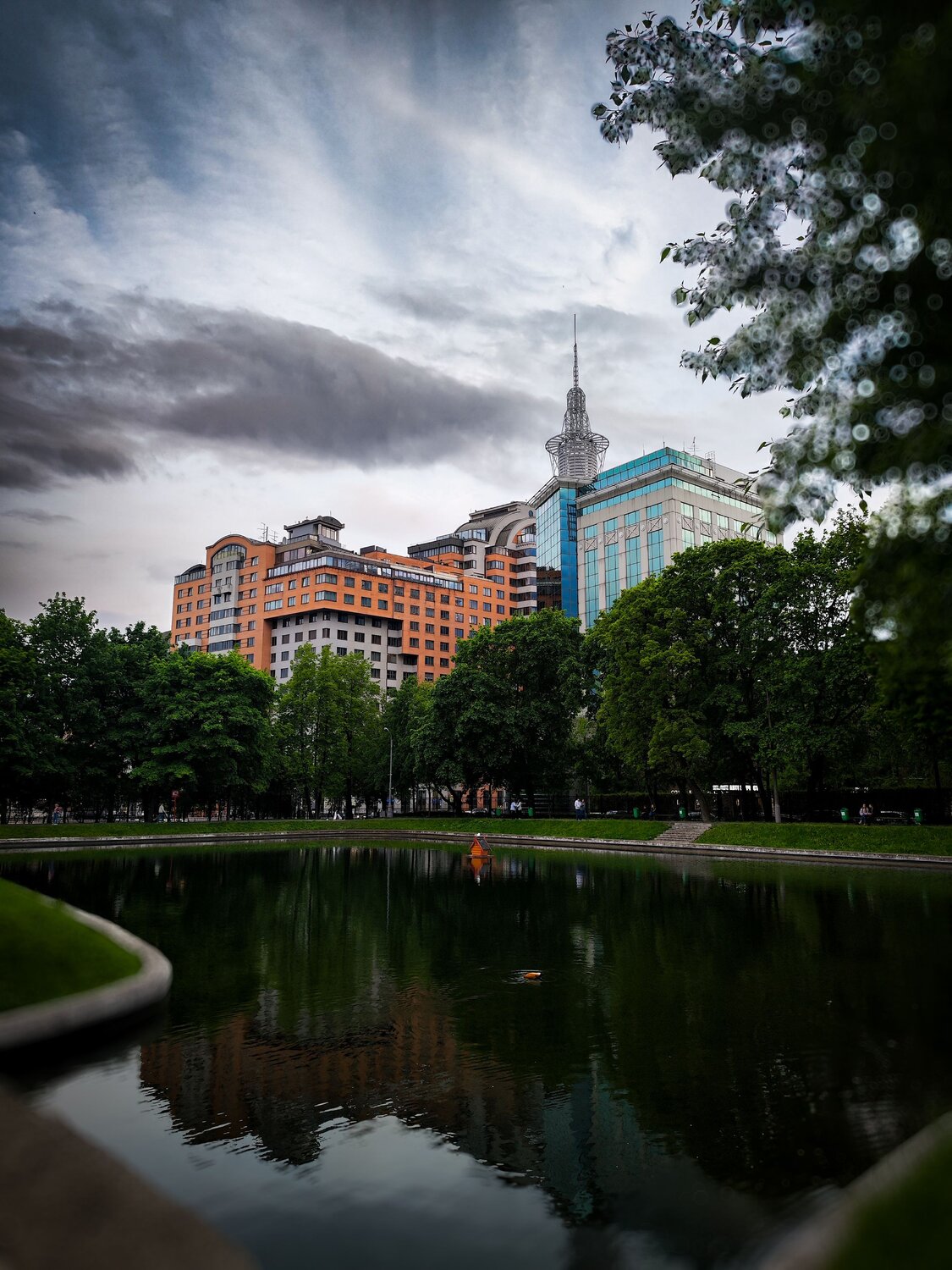 Photo #12234511