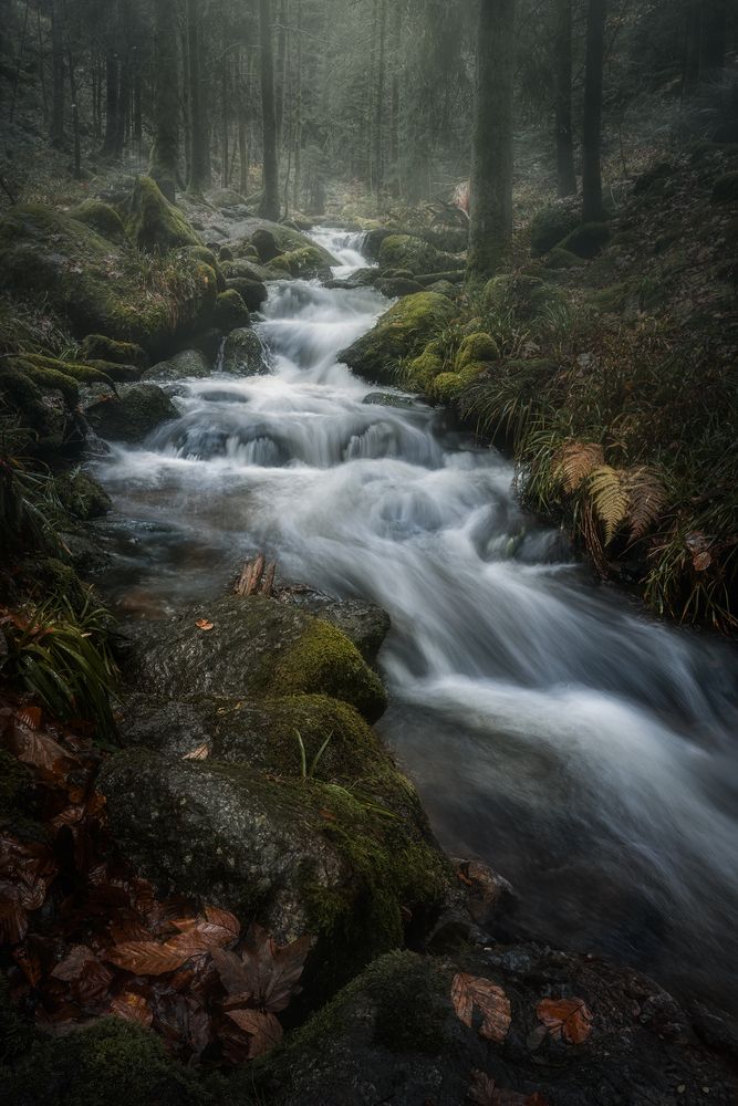 Cold & Blurred