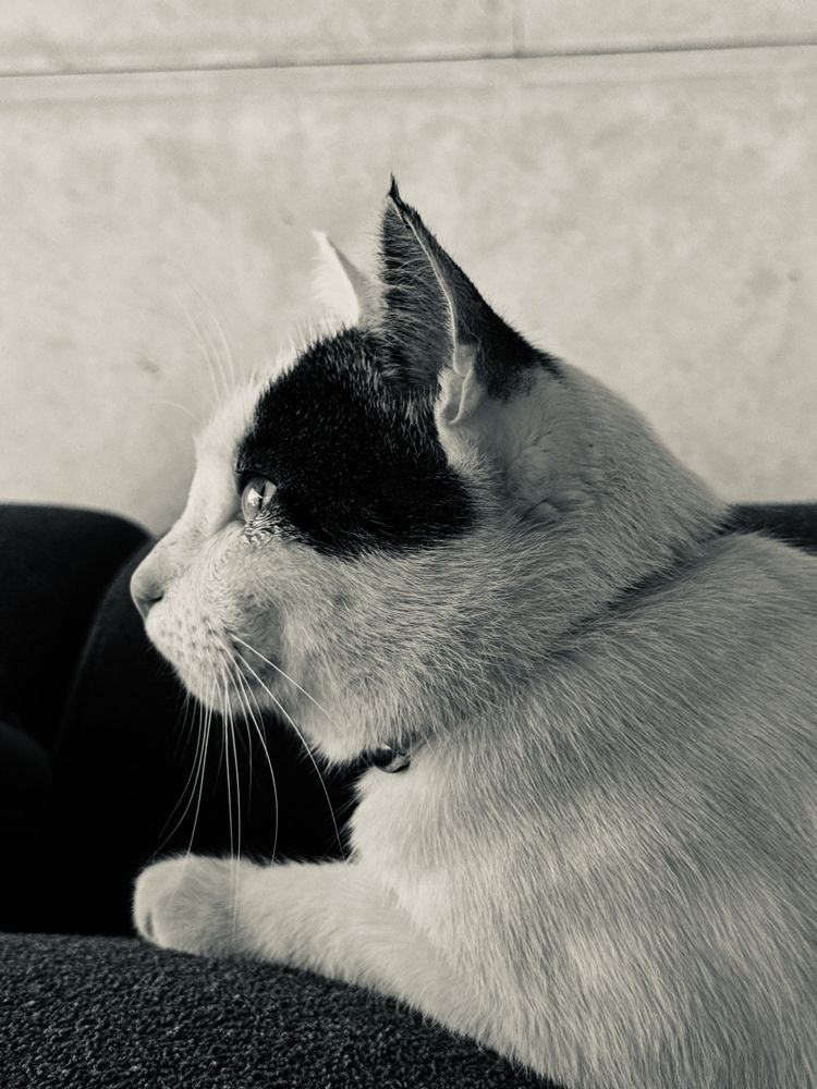 Photograph by Кристина Сидорова