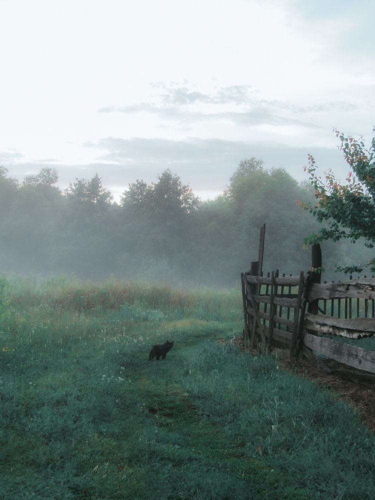 Photograph by Анастасия Алькишева