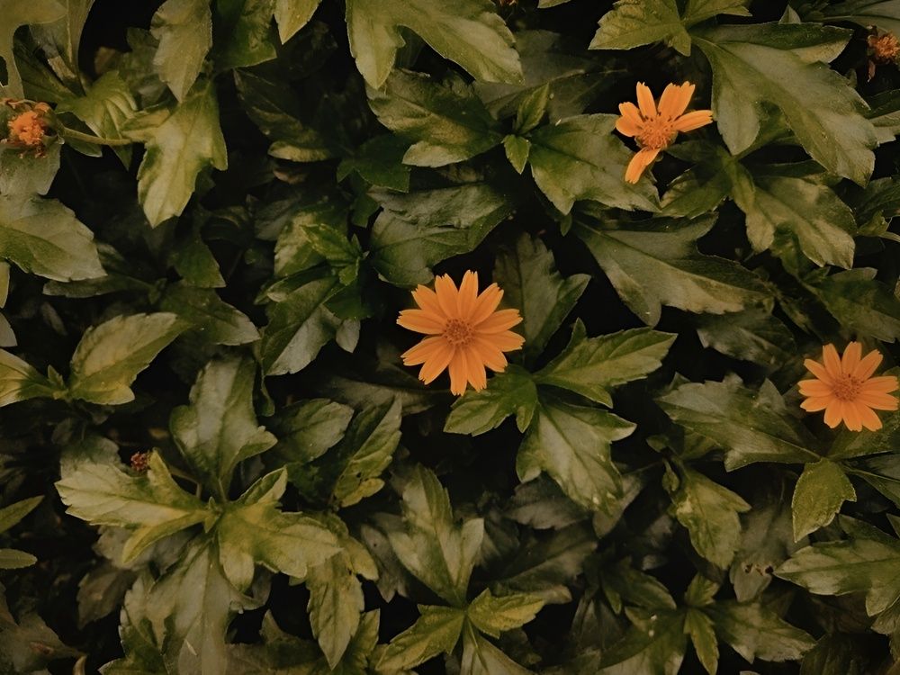 Photograph by Navya Modi