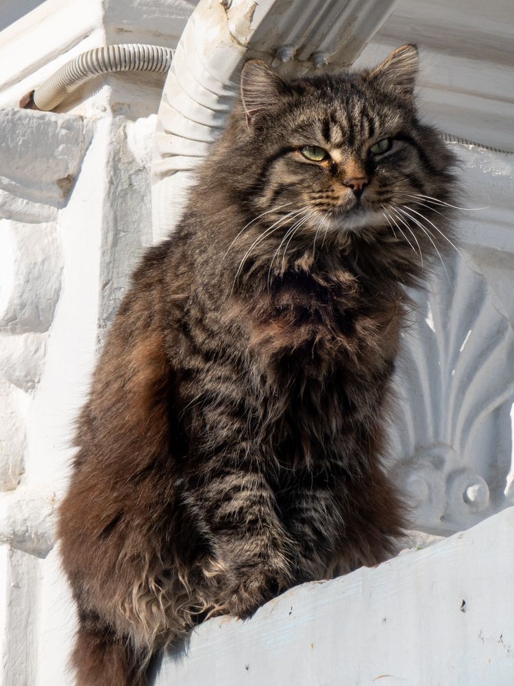 Photograph by Виталий Маслов