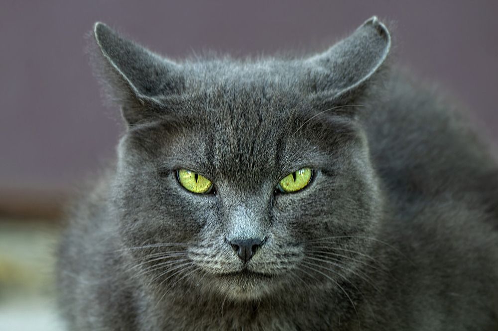 Photograph by Владимир