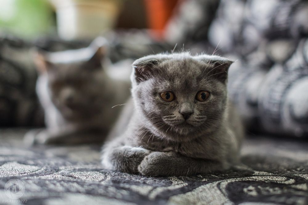 Photograph by Александр Авдеев