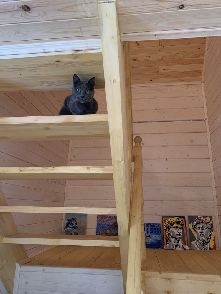 Photograph by Анастасия Осипова