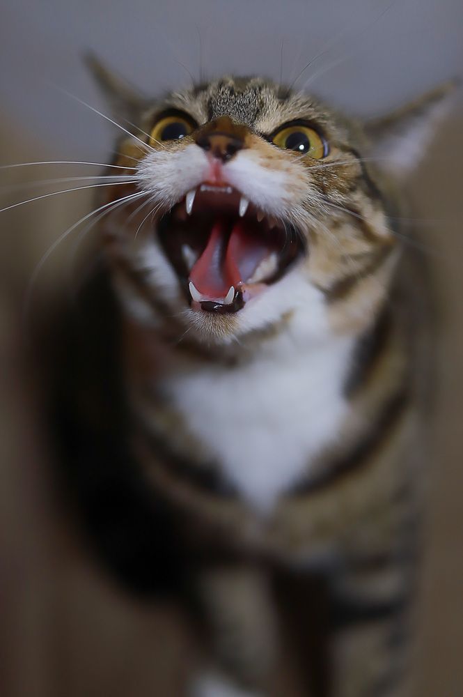 Photograph by Ксения Детский фотограф