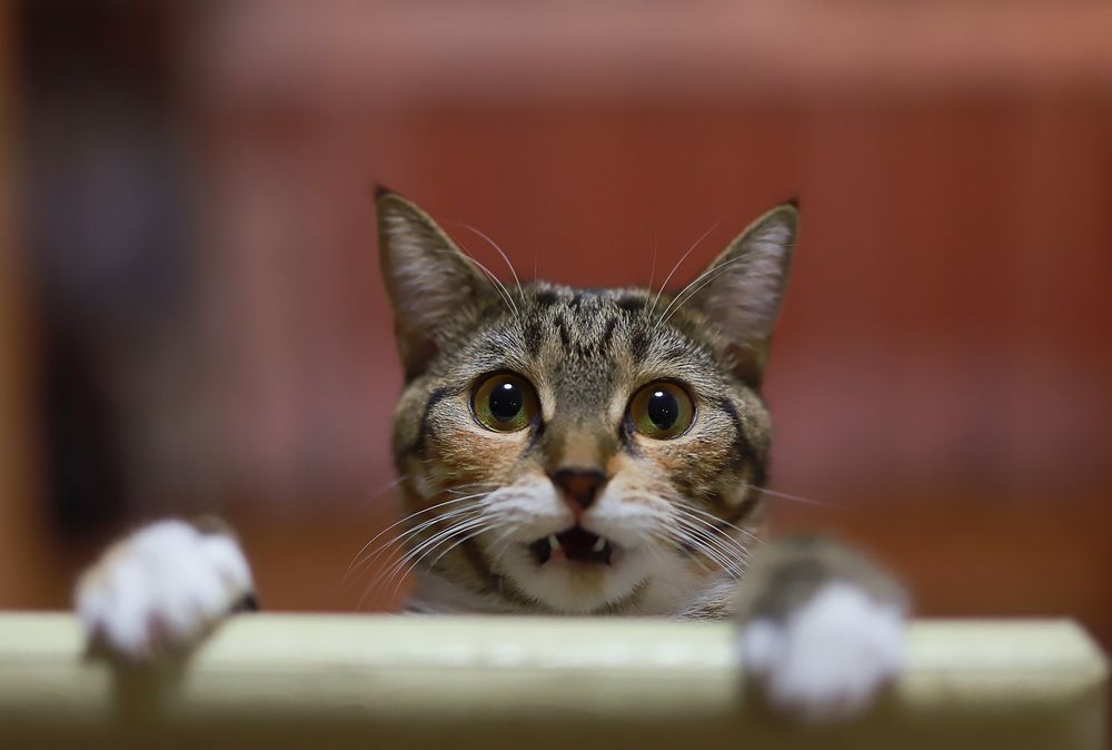 Photograph by Ксения Детский фотограф