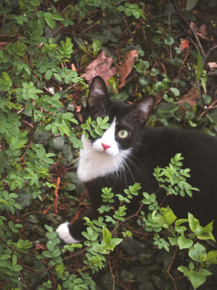 Фотография автора Марина Алексеевская