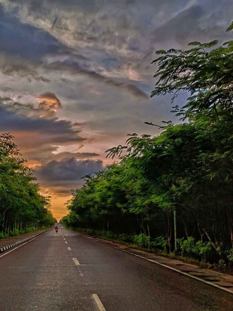 Evening Ride
