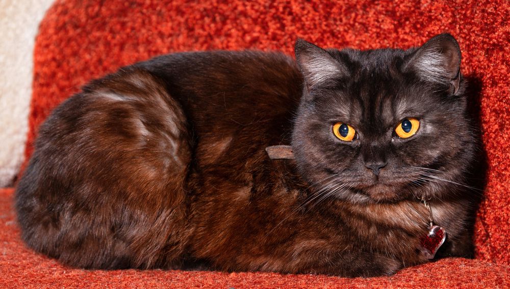 Photograph by Дмитрий Бровко