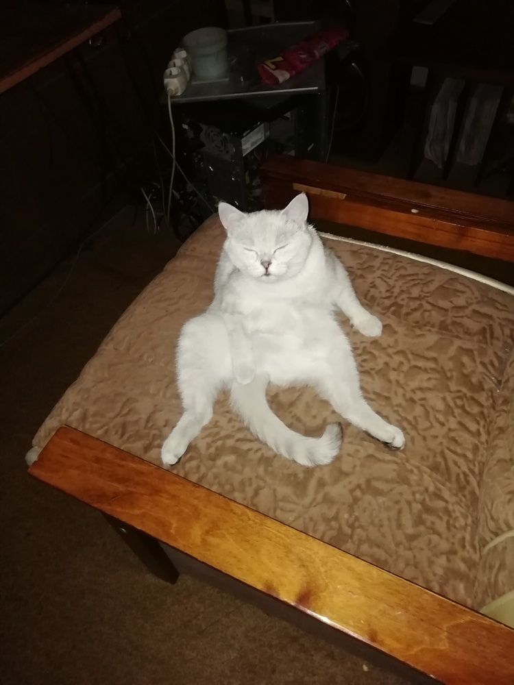 Photograph by Дмитрий Бровко