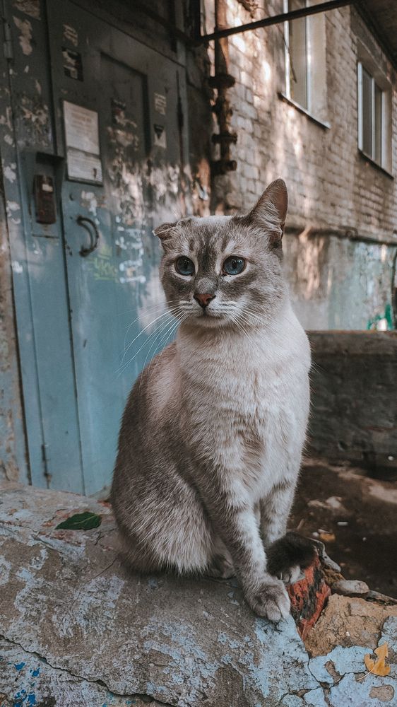 Photograph by Анастасия Алькишева