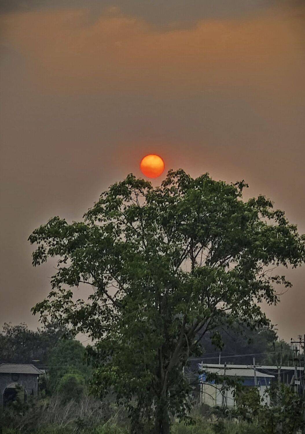 Evening Glow