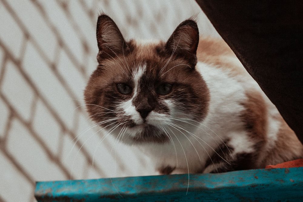 Photograph by Дарина Синица