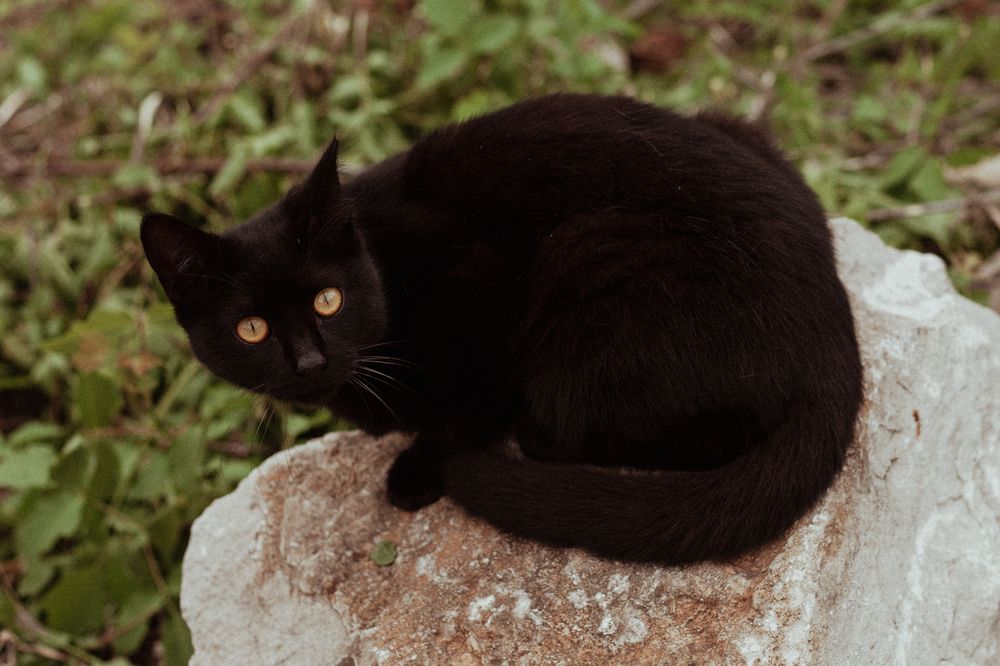 Photograph by Дарина Синица